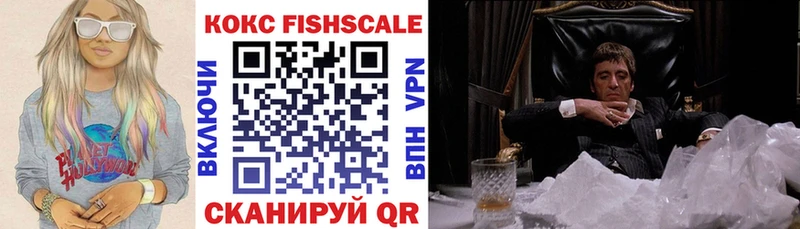 COCAIN Fish Scale  закладки  Иркутск 