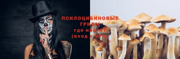 альфа пвп Нефтегорск