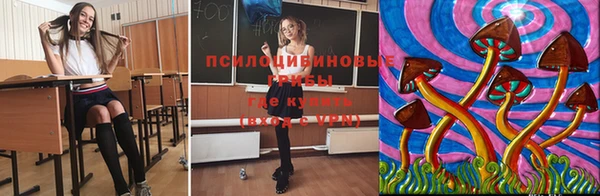 альфа пвп Нефтегорск