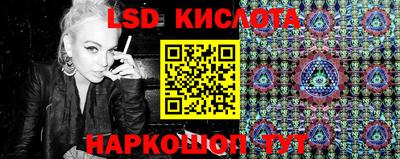 крисы Гагарин