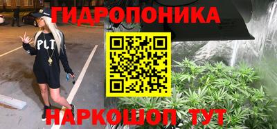 крисы Гагарин