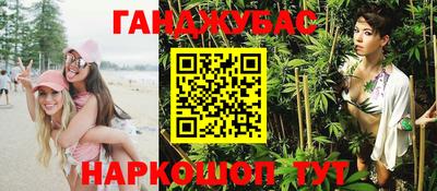 крисы Гагарин