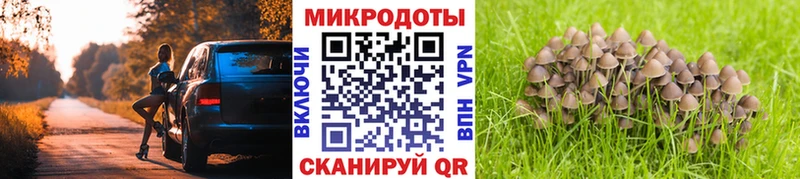 Псилоцибиновые грибы мухоморы  ОМГ ОМГ онион  Иркутск  наркота 
