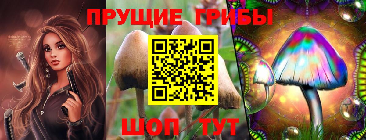 как найти закладки  Псилоцибиновые грибы Magic Shrooms  Иркутск  Галлюциногенные грибы мухоморы 