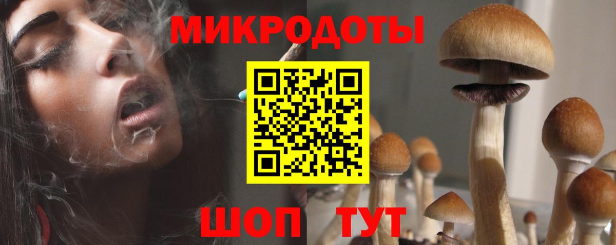 Псилоцибиновые грибы GOLDEN TEACHER Иркутск